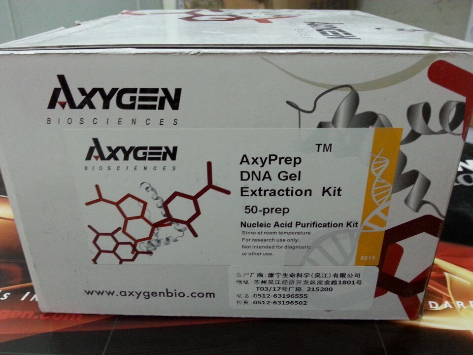 Axygen 爱思进 DNA凝胶回收试剂盒AP-GX-50 50T